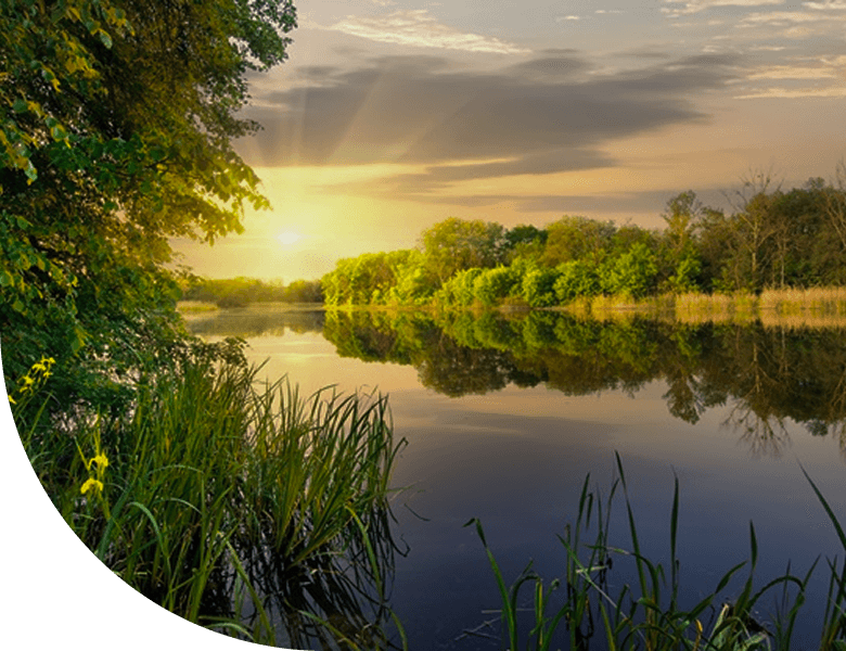 Paisagem sustentável